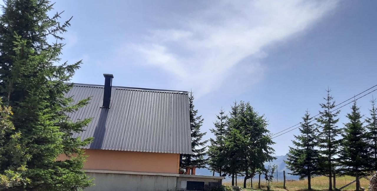 Vila Aleksandar Žabljak Kültér fotó